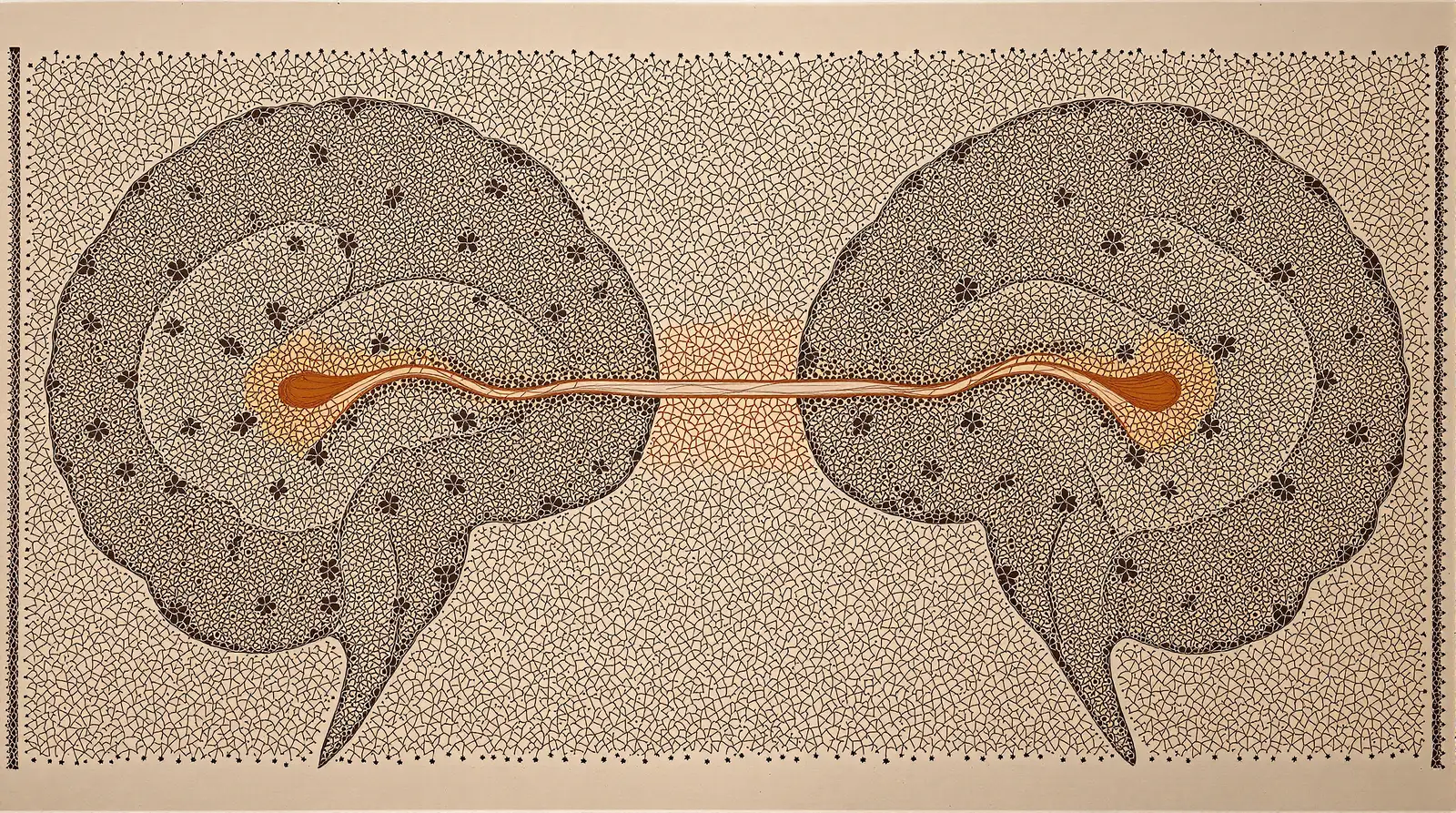 Unity Arises from Bandwidth, Not Essence