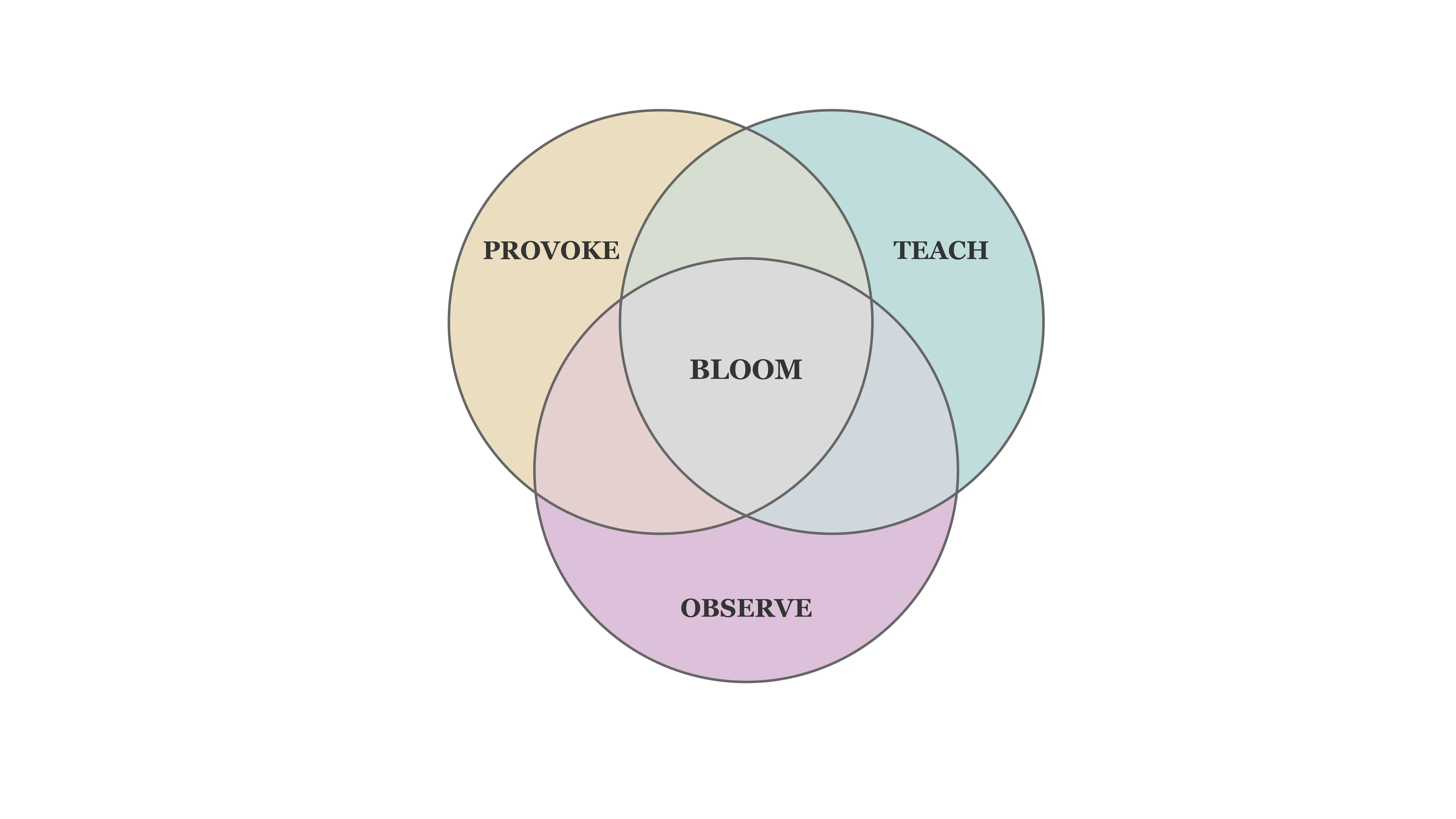 Venn diagram on self-evaluation and the role of teachers